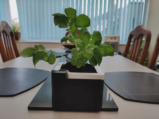 Self-Watering Planter 3D Printed Modern Pot with Built-In Reservoir for Indoor Plants, Succulents & Herb Garden