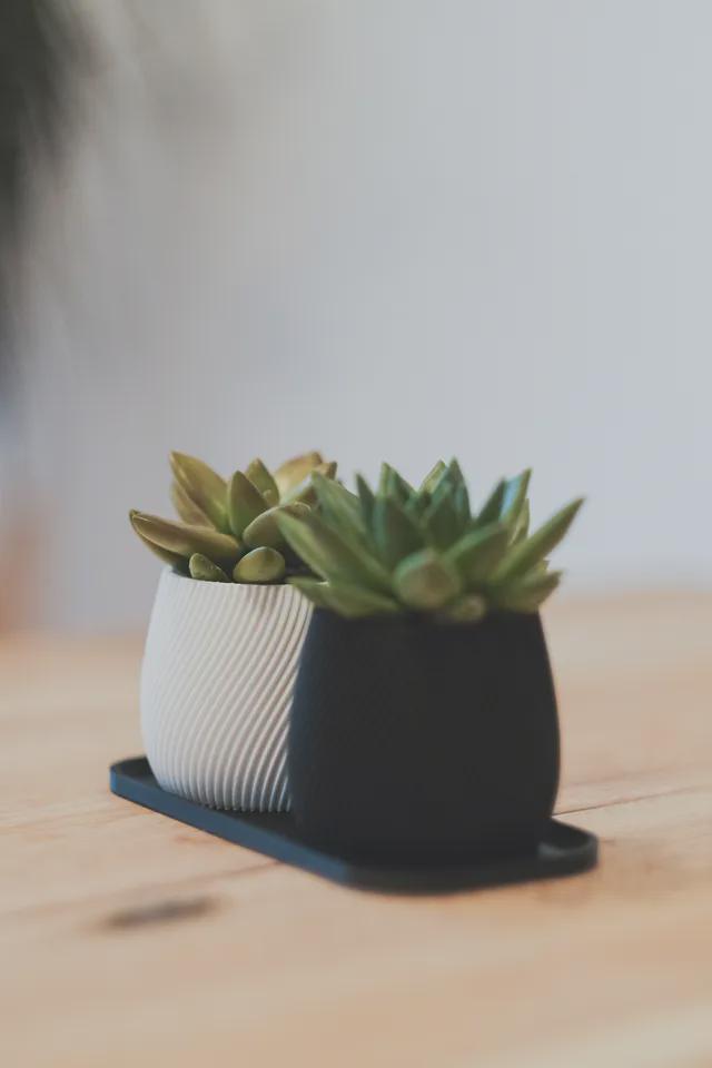 Modern Spiral Planter | 3D Printed Contemporary Plant Pot | Unique Geometric Design