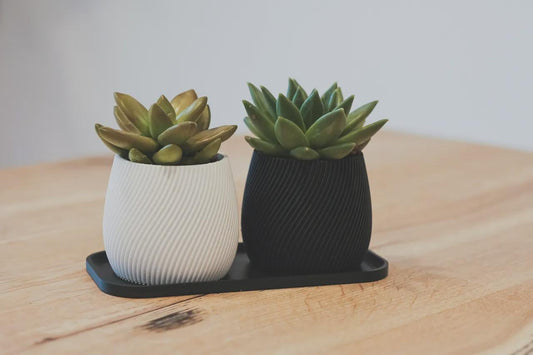 Modern Spiral Planter | 3D Printed Contemporary Plant Pot | Unique Geometric Design